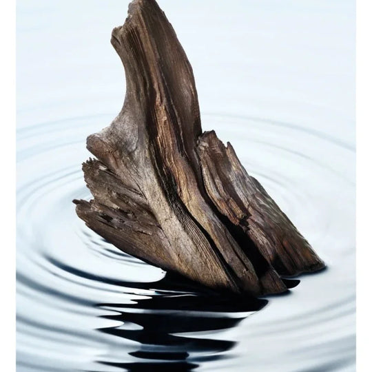 Issey Miyake - L'Eau d'Issey Pour Homme EDP Refillable