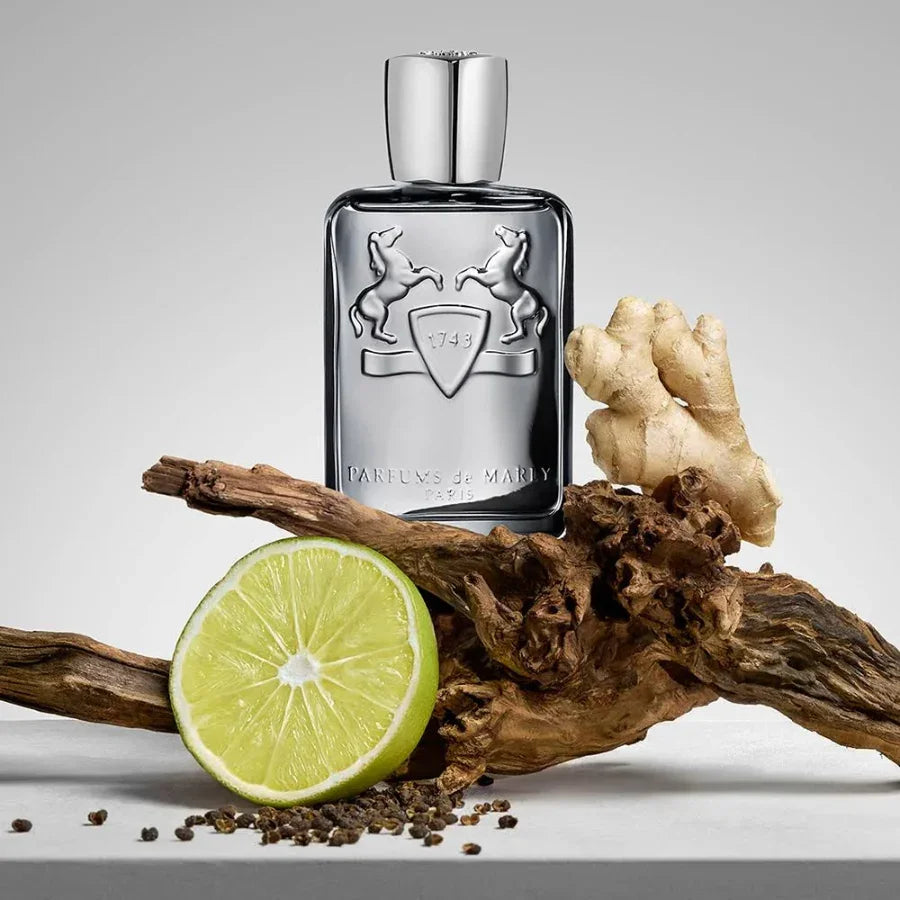 Parfums De Marly - Castley EDP