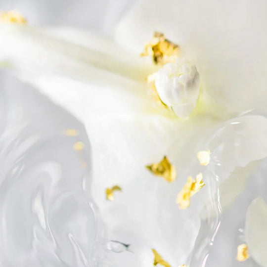 Atelier Des Ors - Nuda Veritas Extrait de Parfum 100ml