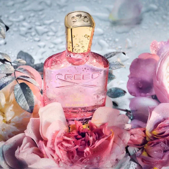 Creed - Eladaria EDP