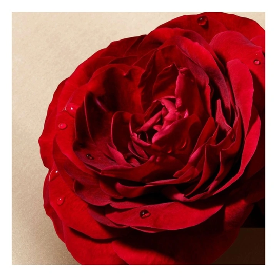 Giorgio Armani - SI Parfum