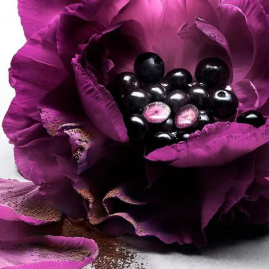 Lancome - La Nuit Tresor Le Parfum 100ml
