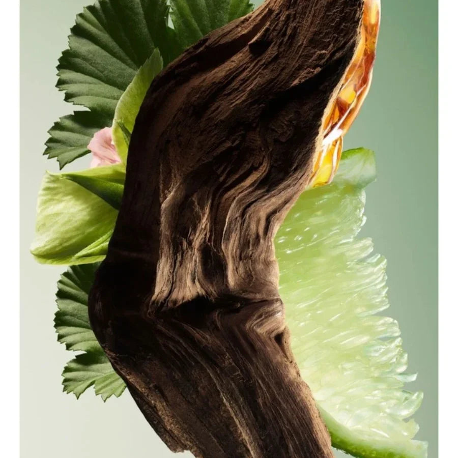 Prada - Paradigme  EDP Refill 150ml