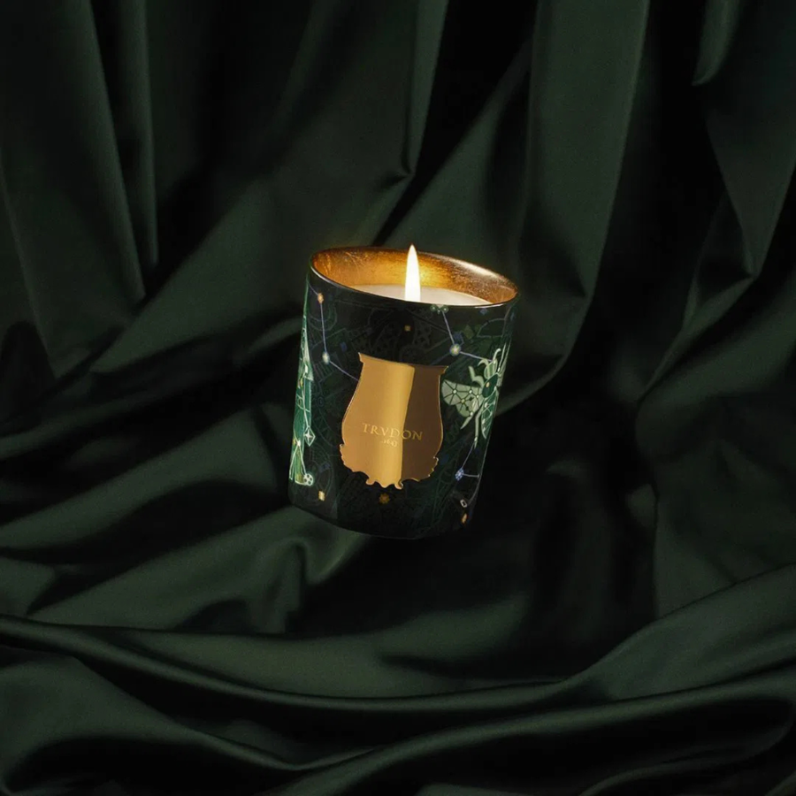 Trudon - Holiday Fir Candle