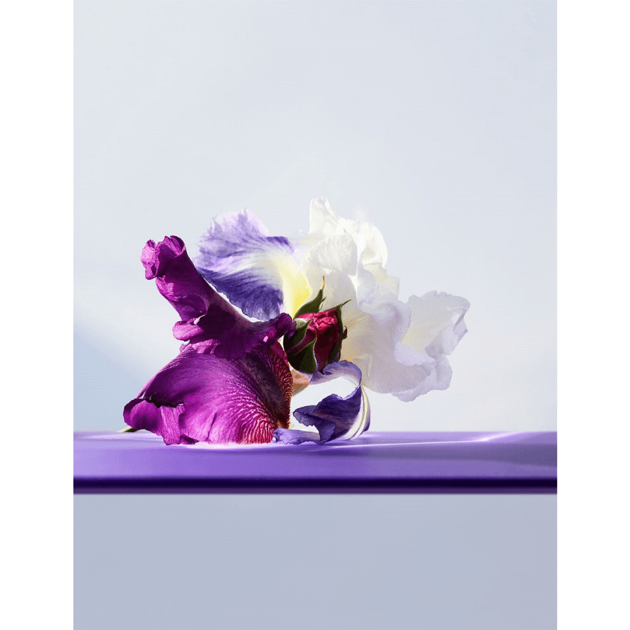 Bvlgari - Omnia Amethyste EDT - Ascent Luxury Cosmetics