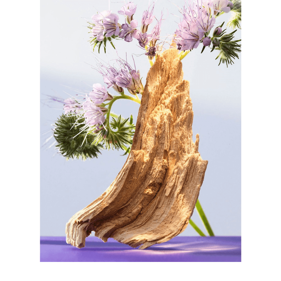 Bvlgari - Omnia Amethyste EDT - Ascent Luxury Cosmetics