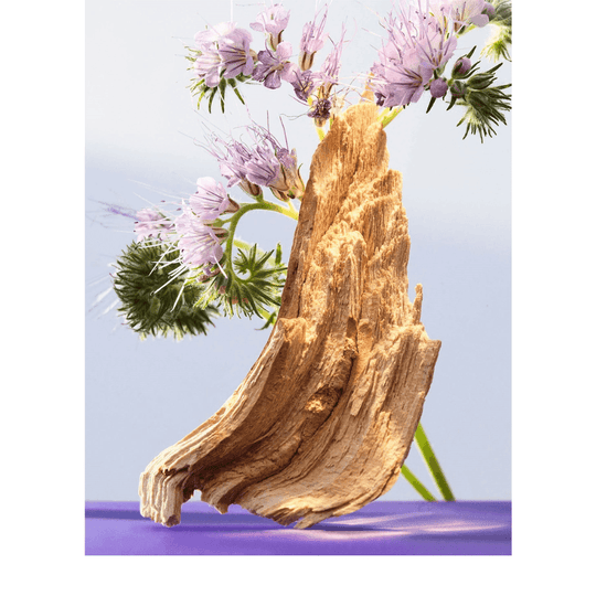 Bvlgari - Omnia Amethyste EDT - Ascent Luxury Cosmetics