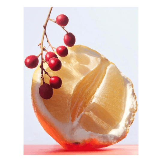 Bvlgari - Omnia Coral EDT 100ml - Ascent Luxury Cosmetics