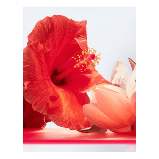 Bvlgari - Omnia Coral EDT 100ml - Ascent Luxury Cosmetics