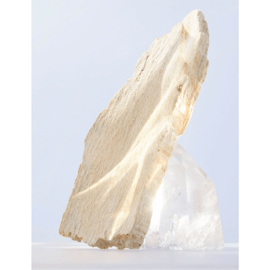 Bvlgari - Omnia Crystalline EDT - Ascent Luxury Cosmetics