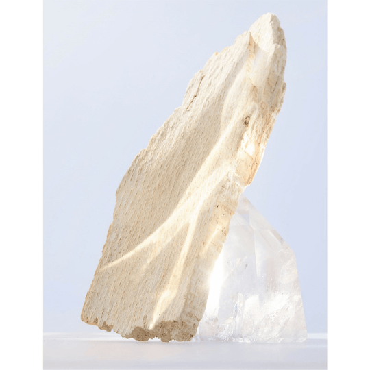 Bvlgari - Omnia Crystalline EDT - Ascent Luxury Cosmetics