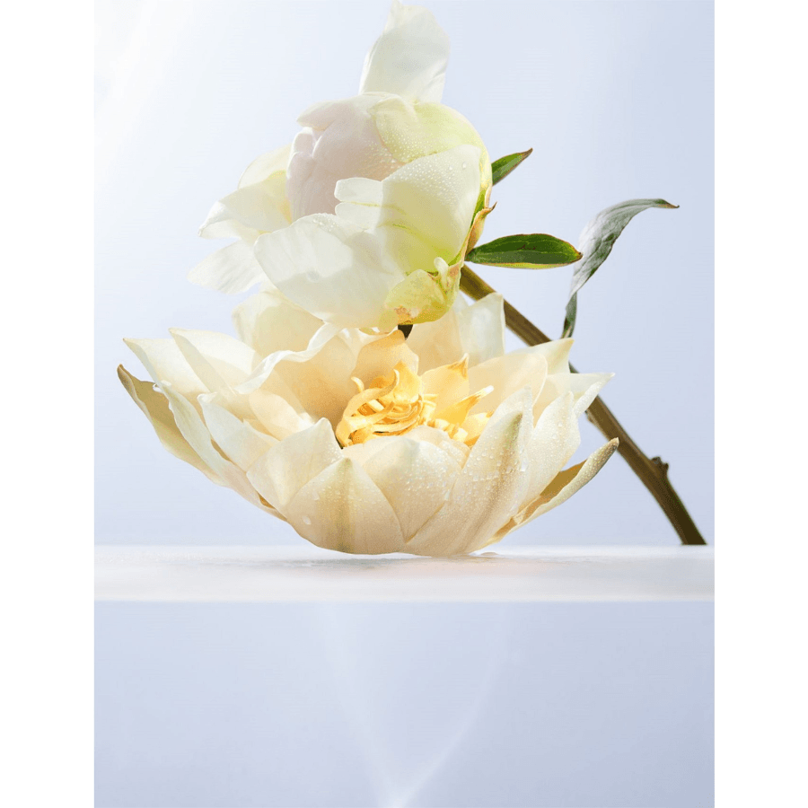 Bvlgari - Omnia Crystalline EDT - Ascent Luxury Cosmetics