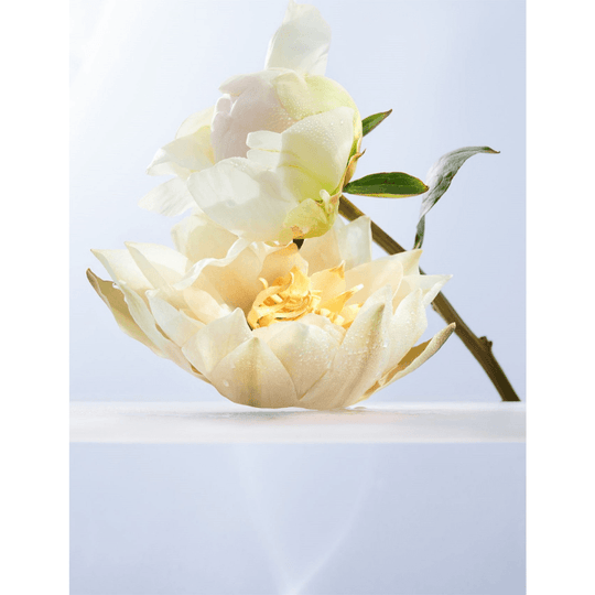 Bvlgari - Omnia Crystalline EDT - Ascent Luxury Cosmetics