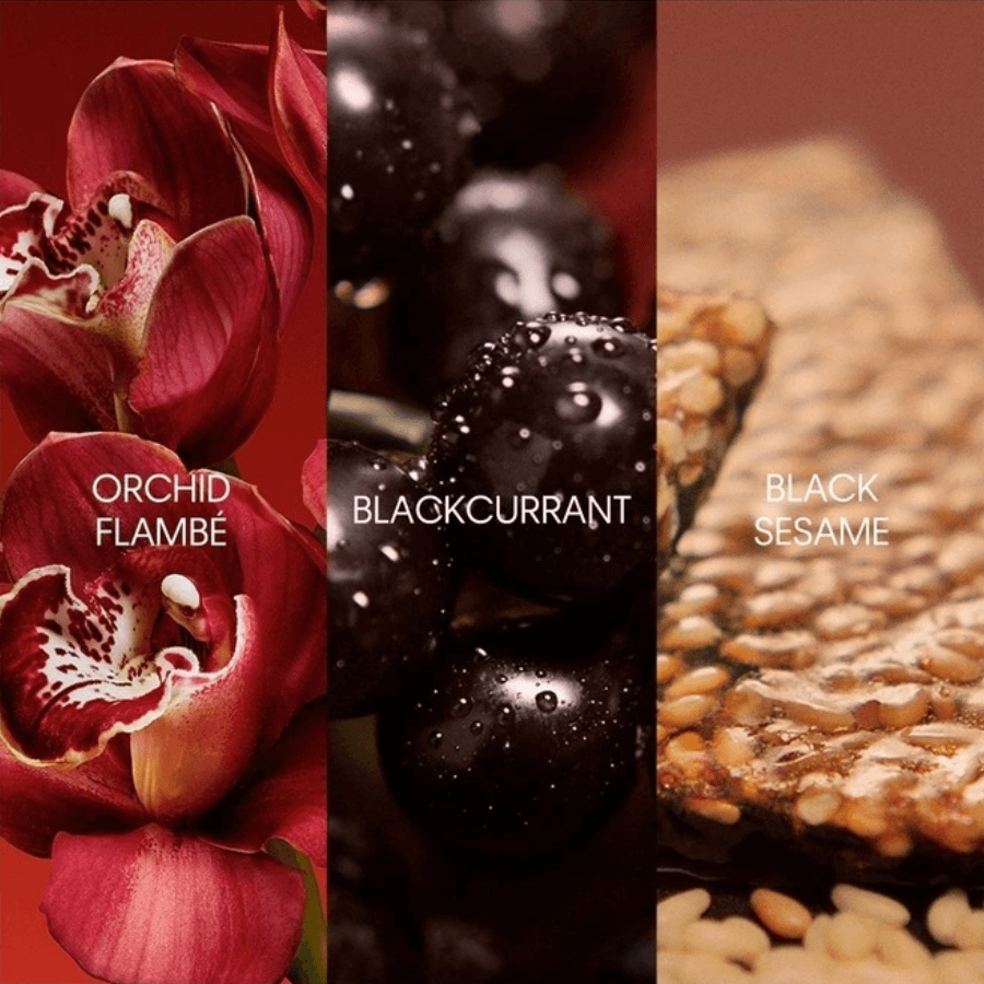 Calvin Klein - My Euphoria EDP - Ascent Luxury Cosmetics