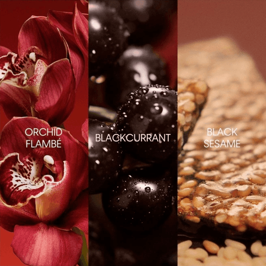 Calvin Klein - My Euphoria EDP - Ascent Luxury Cosmetics