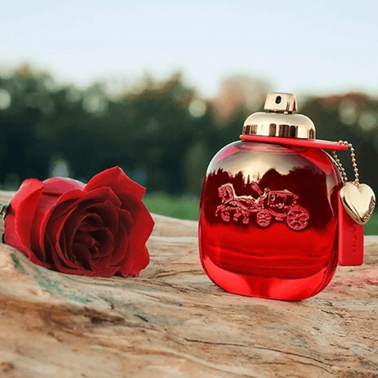 Coach - Love EDP - Ascent Luxury Cosmetics