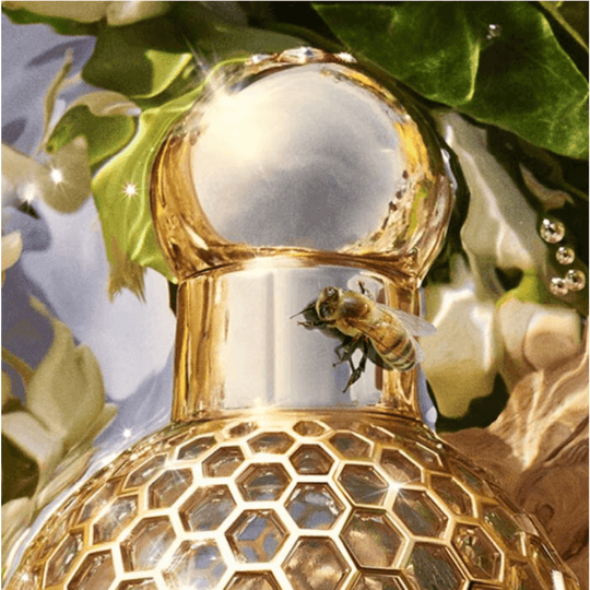 Guerlain - Aqua Allegoria Bergamote Calabria EDT 125ml - Ascent Luxury Cosmetics