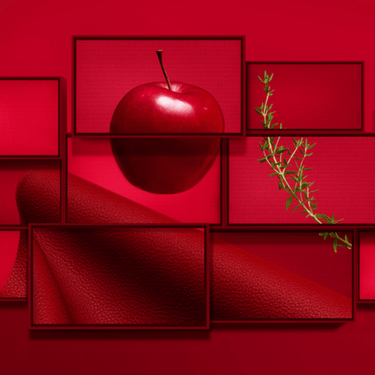 Hugo Boss - Hugo EDP Intense - Ascent Luxury Cosmetics