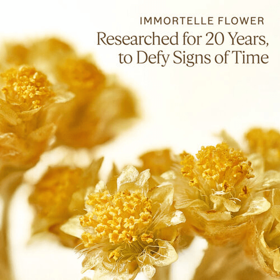 L'Occitane - Immortelle Divine Cream 50ml - Ascent Luxury Cosmetics