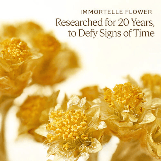 L'Occitane - Immortelle Divine Cream 50ml - Ascent Luxury Cosmetics