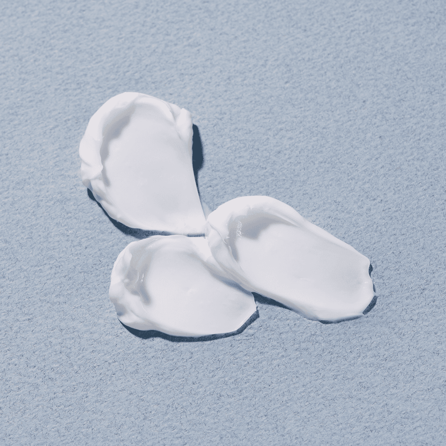 L'Occitane - Shea Butter Ultra Rich Face Cream 50ml - Ascent Luxury Cosmetics