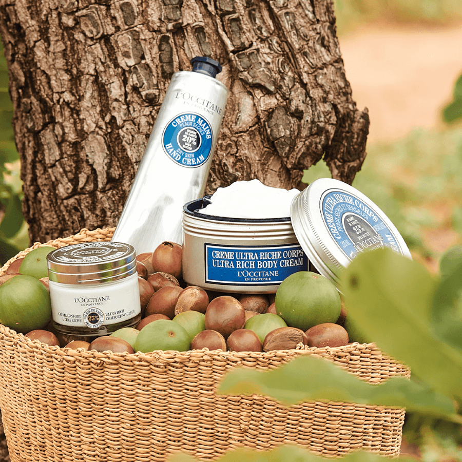 L'Occitane - Shea Butter Ultra Rich Face Cream 50ml - Ascent Luxury Cosmetics