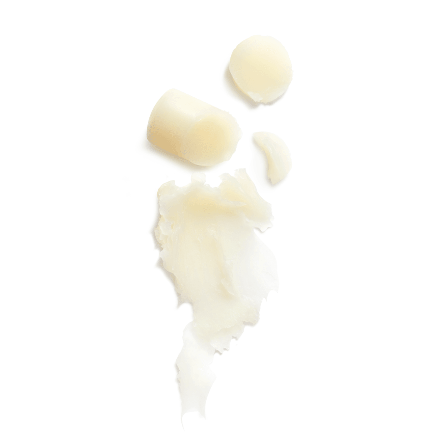 L'Occitane - Shea Butter Ultra Rich Lip Stick Balm 4.5g - Ascent Luxury Cosmetics