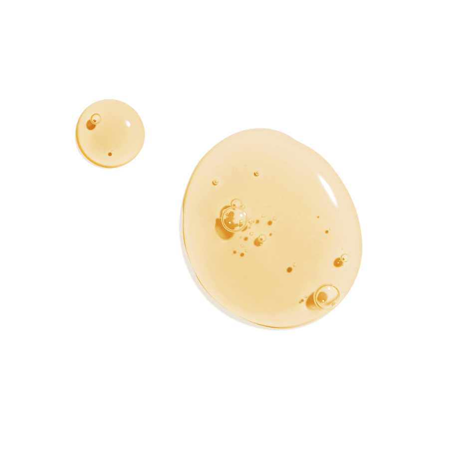 L'Occitane - Shea Liquid Soap - Verbena Classic - Ascent Luxury Cosmetics