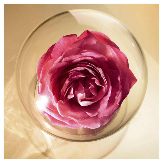 Lancome - Absolue Cleansing Oil-In-Gel 125ml - Ascent Luxury Cosmetics