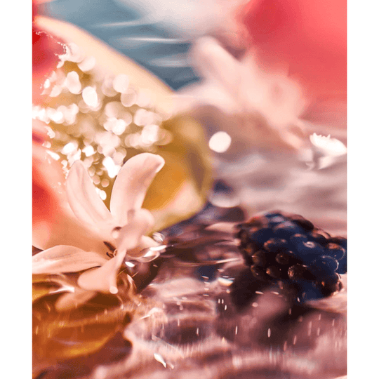 Roja Parfums - Elysium Pour Femme EDP 75ml - Ascent Luxury Cosmetics