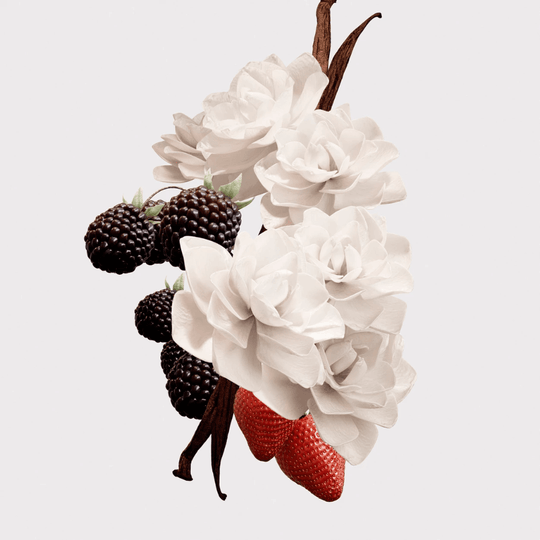 Burberry - Her Elixir De Parfum - Ascent Luxury Cosmetics