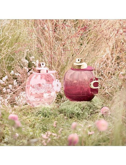 Coach - Wild Rose EDP - Ascent Luxury Cosmetics