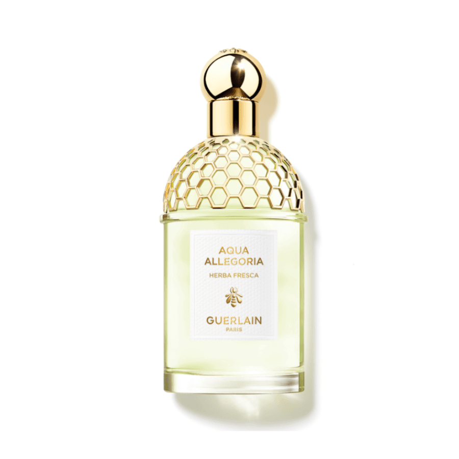 Guerlain - Aqua Allegoria Herba Fresca EDT/S 125ml - Ascent Luxury Cosmetics