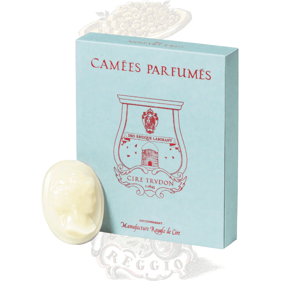 Trudon - Reggio Scented Cameos (Box of 4) - Ascent Luxury Cosmetics