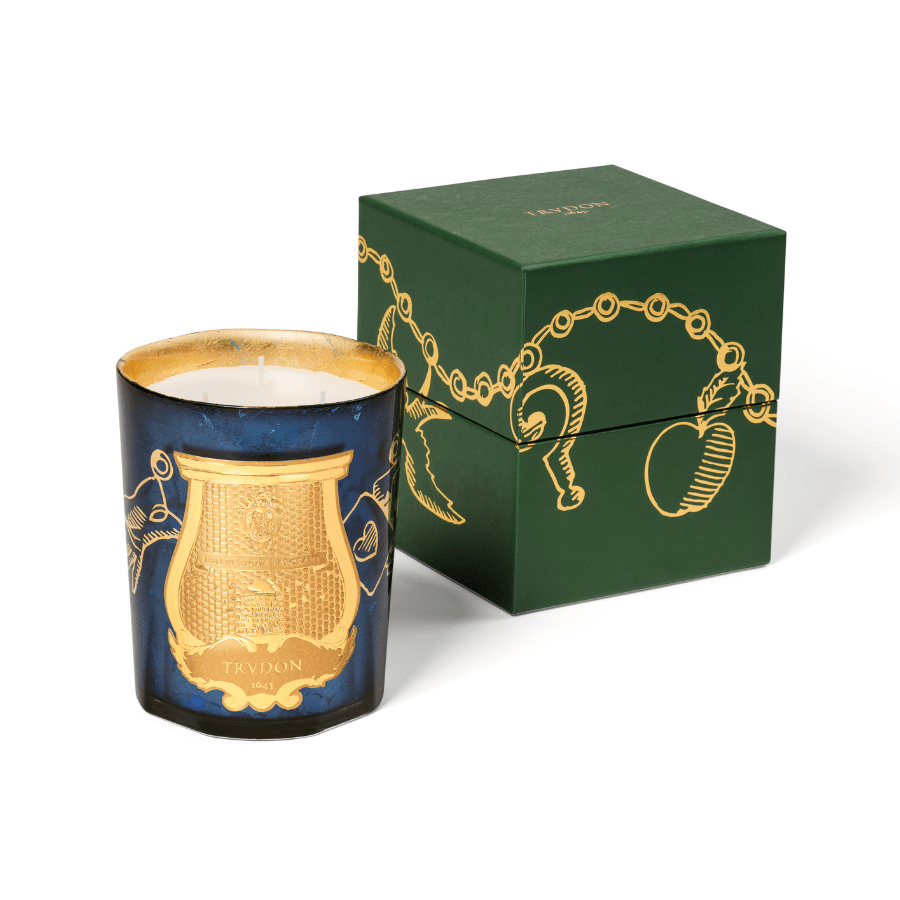 Trudon - Xmas 2022 - Fir Candle - Ascent Luxury Cosmetics