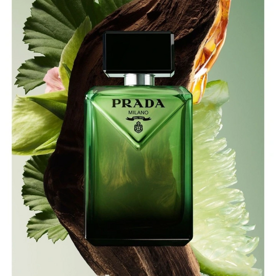 Prada - Paradigme EDP
