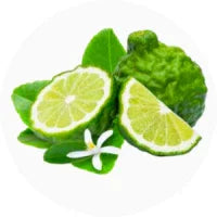 Bergamot