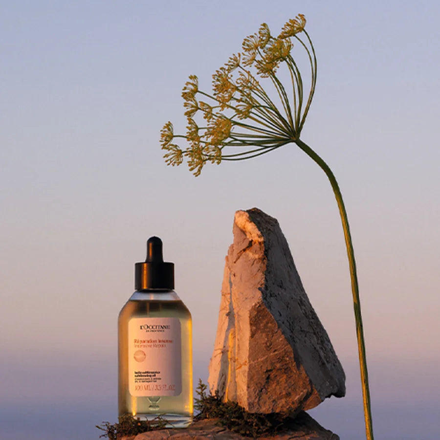 L'Occitane - Intensive Repair Hair Oil 100ml