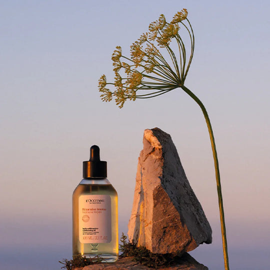 L'Occitane - Intensive Repair Hair Oil 100ml
