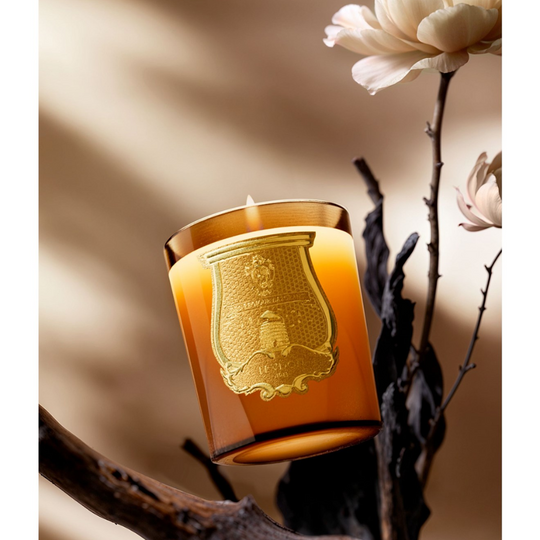 Trudon - Altair Candle 270g