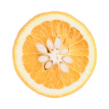 Italian bitter orange