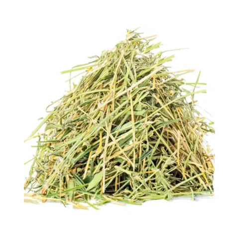 Hay absolute