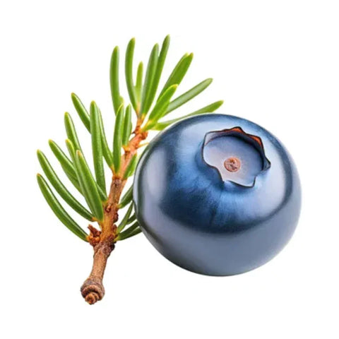 Cade (Juniper)