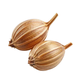 Coriander Seed