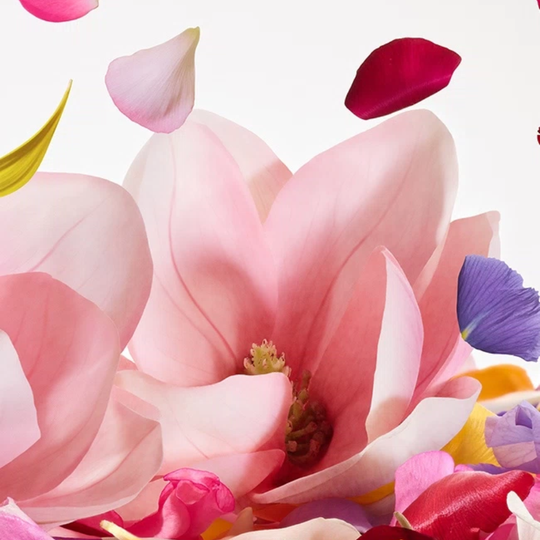 D&G - Dolce Magnolia EDP