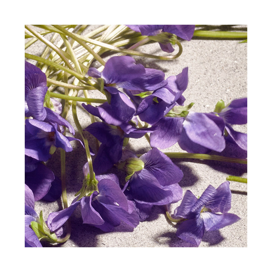 D&G - Dolce Violet EDT