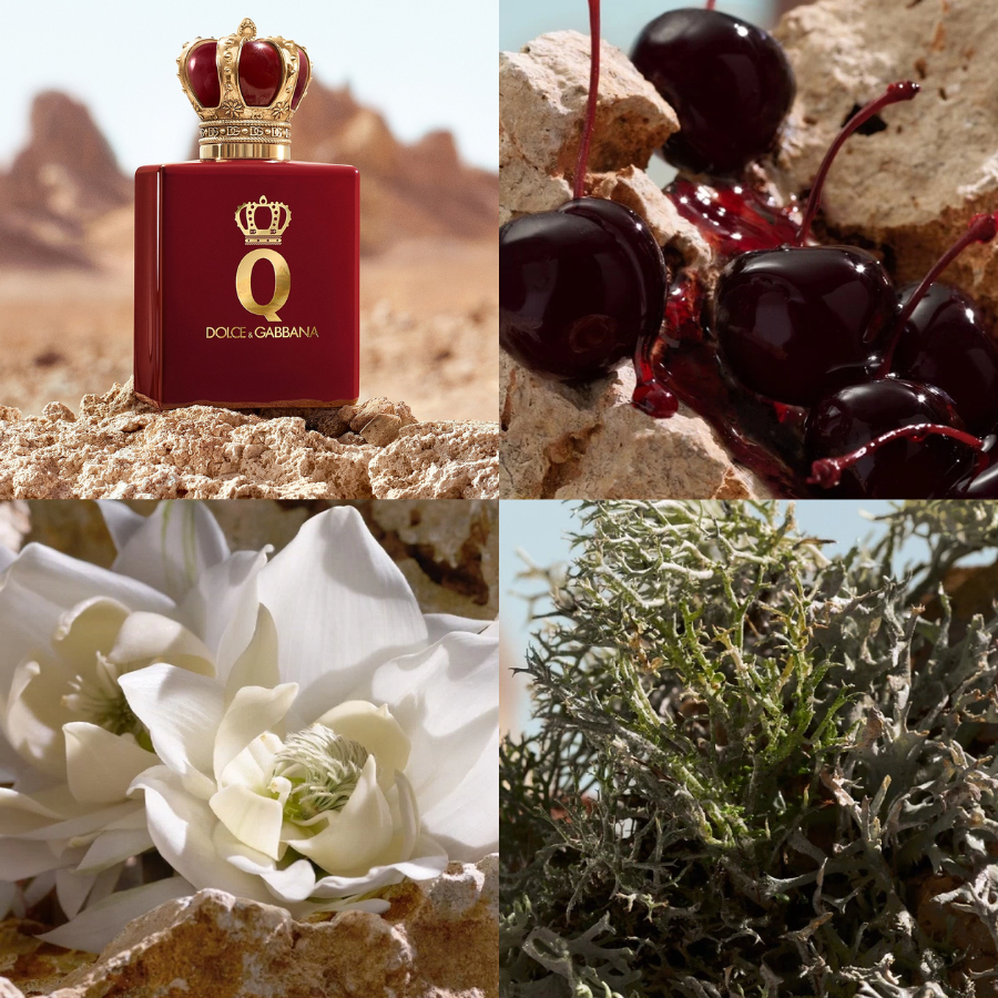D&G - Q Elixir 50ml