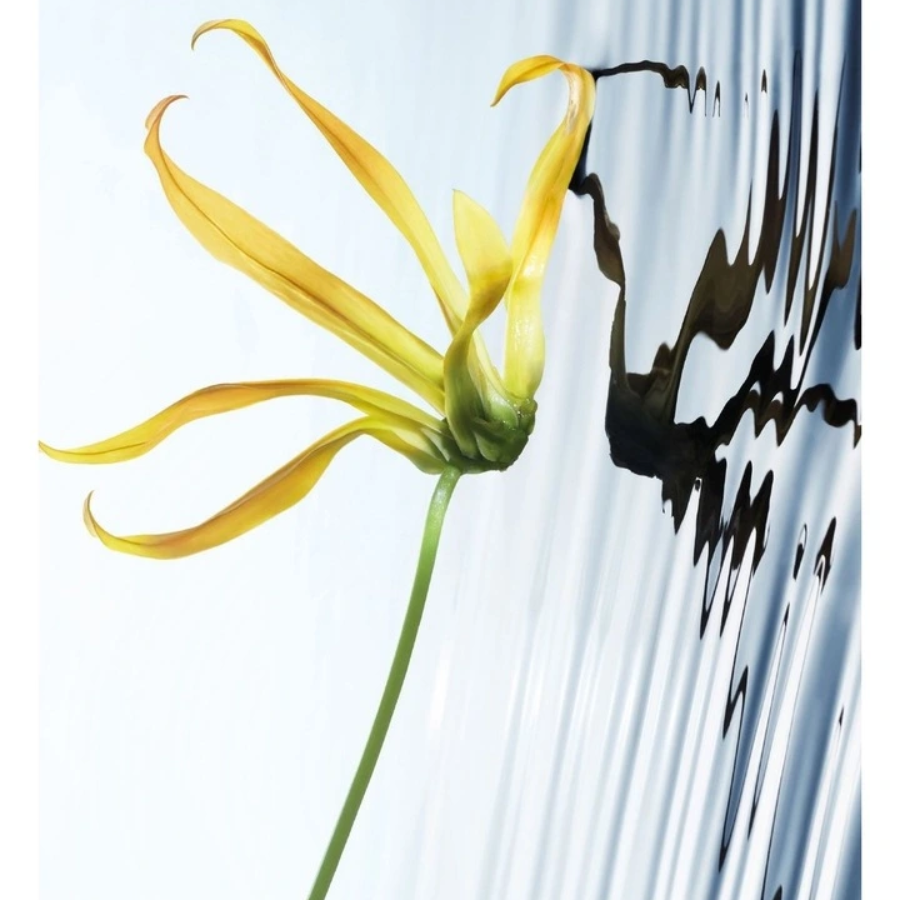 Issey Miyake - L'Eau d'Issey EDP Intense Refillable