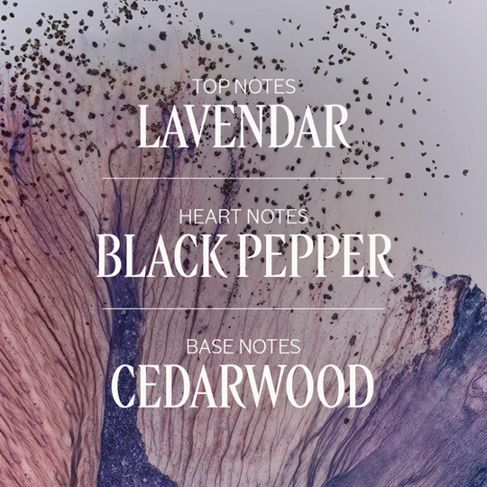 L'Occitane - Lavande Poivre Noir EDT 50ml