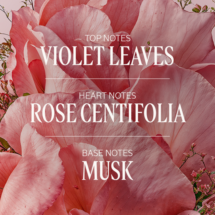 L'Occitane - Rose Eau De Toilette 50ml